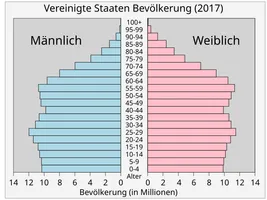 Bevölkerungspyramide der USA