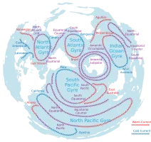 Die großen ozeanischen Meeresdriftströme mit Flussrichtung; ﻿kalt  (blau) & ﻿warm (rot)