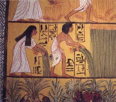 Egyptian peasants harvesting papyrus, from a mural painting in a Deir el-Medina tomb dated to the early Ramesside Period (i.e. Nineteenth dynasty)