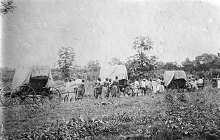 Baumwolltransport in Togo um 1900. Kaffee, Kakao, Baumwolle und Erzeugnisse aus der Kokospalme waren in Togo, wie auch den anderen tropischen Kolonien Deutschlands, weitgehend die einzigen Handelsgüter für den deutschen und internationalen Markt.