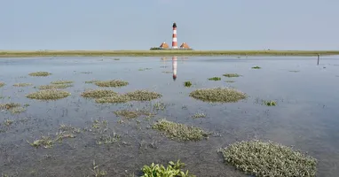 Das Weltnaturerbe Wattenmeer ist durch den Klimawandel und den damit verbundenen Meeresspiegelanstieg massiv bedroht: Wattflächen, Salzwiesen, Strände und Dünen könnten mitsamt ihrer einmaligen Natur durch...