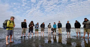 Tourismus ist ein wichtiger Wirtschaftsfaktor in der Wattenmeer-Region. Nachhaltig ausgerichtet kann er zum Erhalt der einzigartigen Natur an der Nordseeküste beitragen.    Die Nordseeküste und Inseln des...