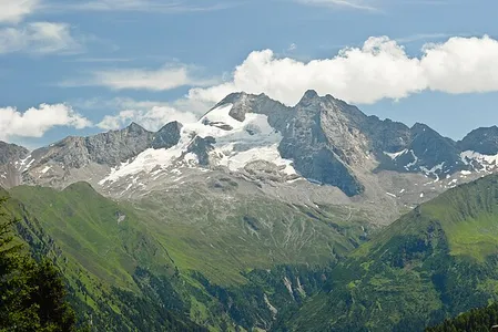 Höhenstufen der Vegetation an einem Berg in den Alpen (Olperer): von unten nach oben: hochmontane, subalpine, alpine, subnivale und nivale Stufe.