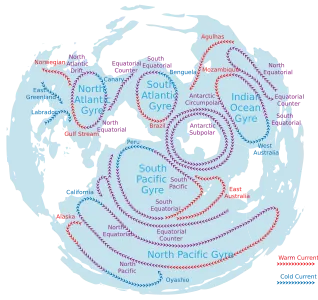 Die großen ozeanischen Meeresdriftströme mit Flussrichtung; ﻿kalt  (blau) & ﻿warm (rot)