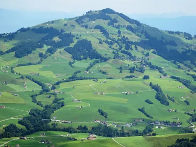 Streusiedlung Rüte (2013)