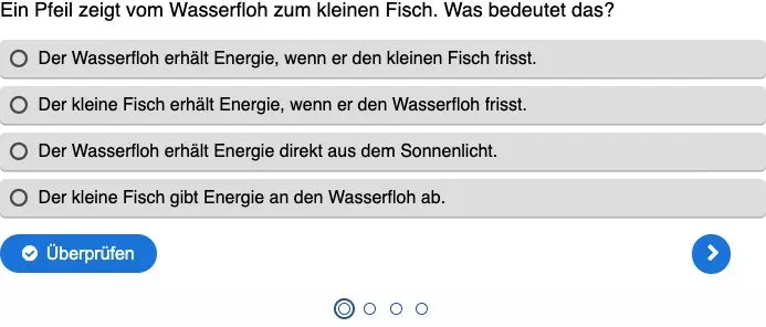 Multiple-Choice-Quiz für den Unterricht erstellen: Fragen, die dir weiterhelfen