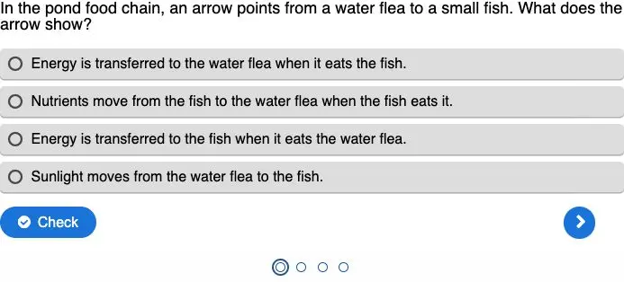 Create a multiple-choice quiz that checks pupils’ understanding